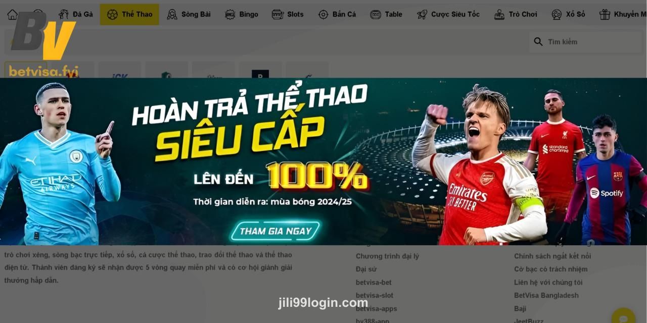 Promotional Offers Section